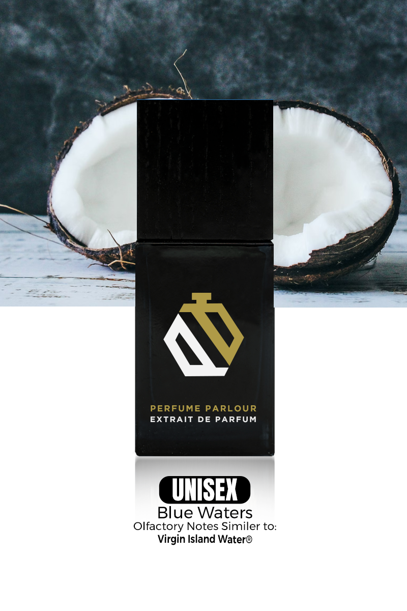 Blue Waters 0424 | Virgin Island Water® Dupe Clone – Perfume