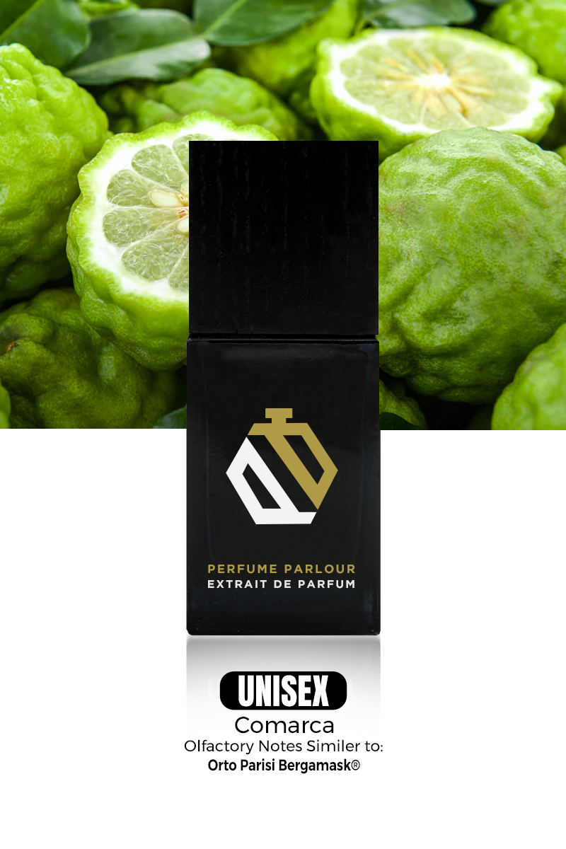 Comarca 0786 | Bergamask® Dupe Clone – Perfume Parlour USA