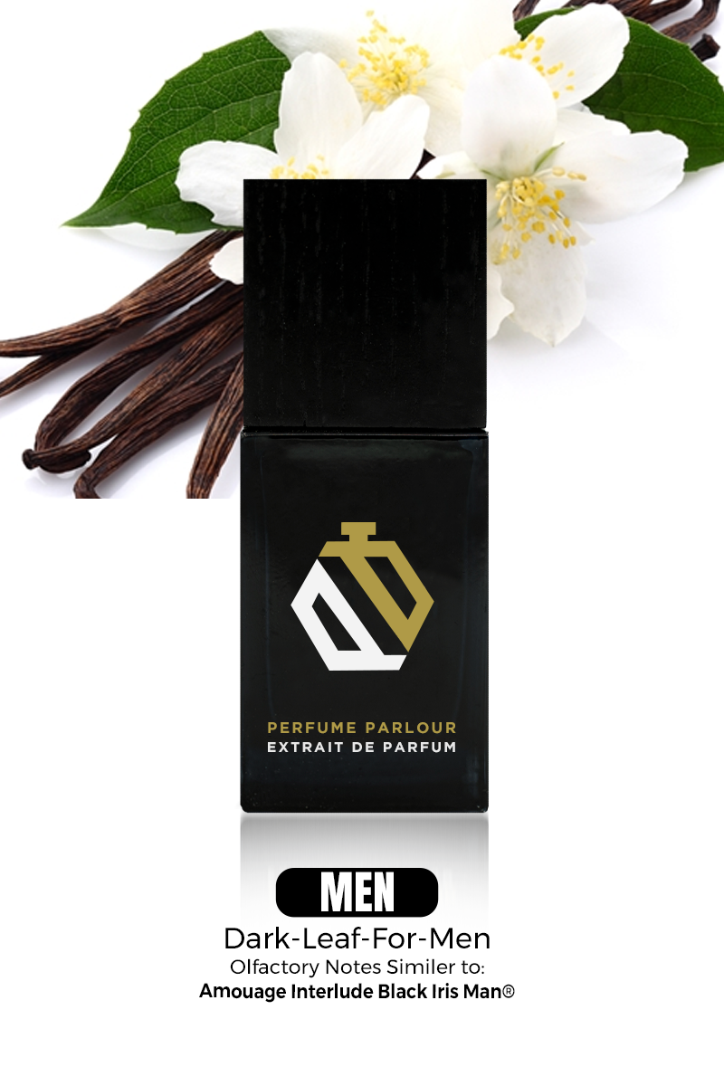 Dark Leaf For Men 1807 | Interlude Black Iris Man® Dupe Clone