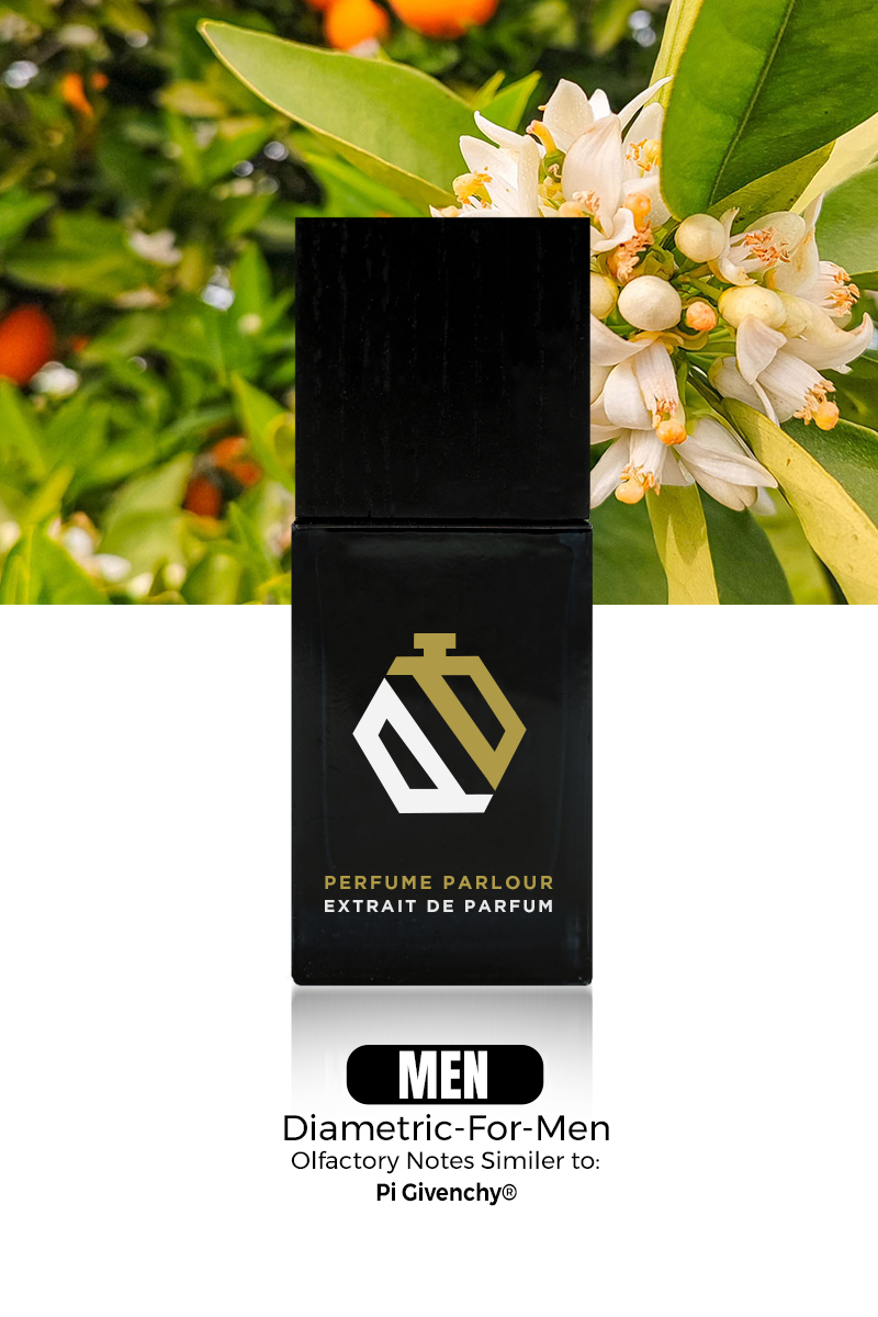 Diametric For Men - 0548 | Pi Givenchy® Dupe Clone – Perfume