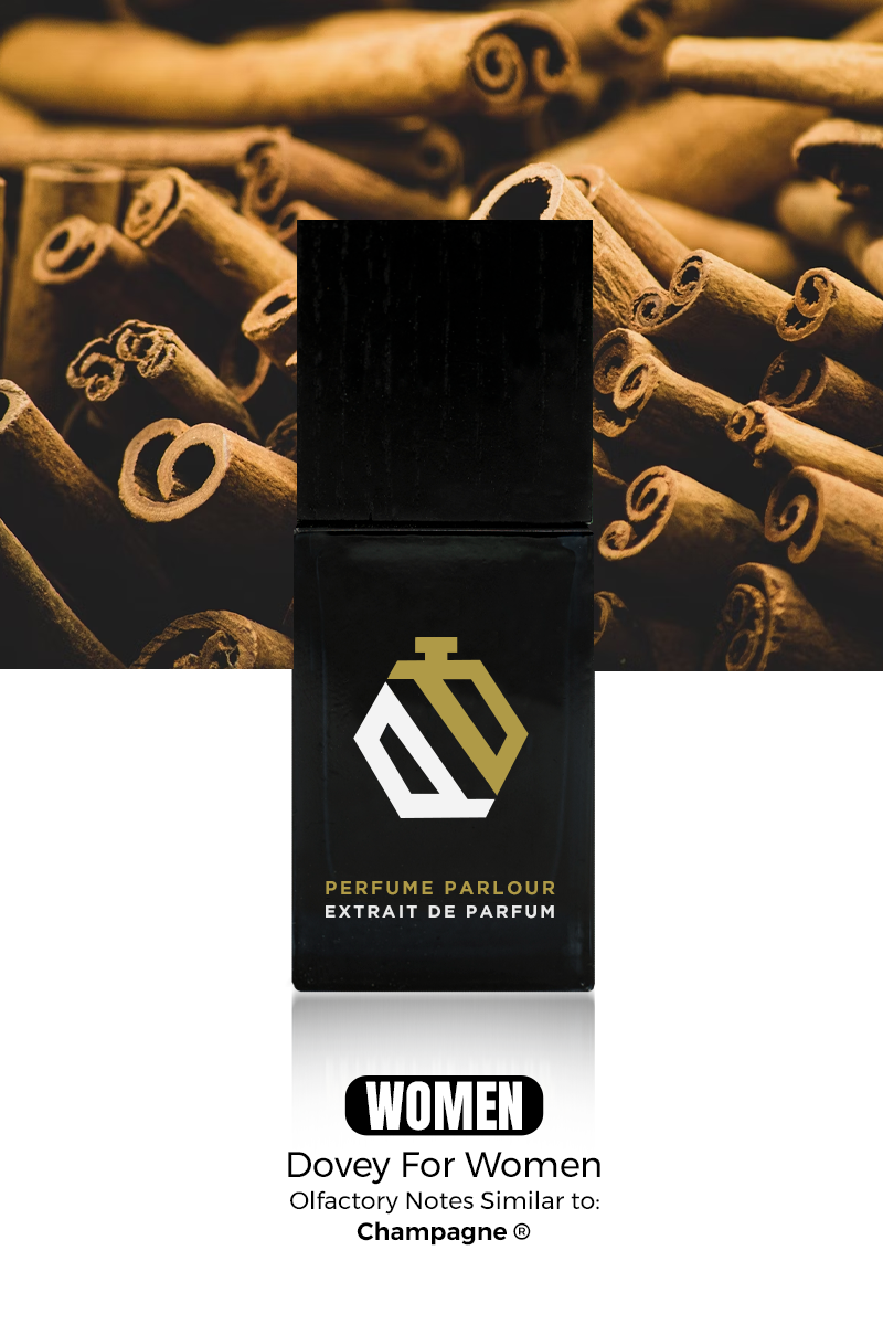 cigarette smell in car removal How to Remove Cigarette Smell: Room, House, Car & Clothes cigarette smell in car removal How to Remove Cigarette Smell: Room, House, Car & Clothes