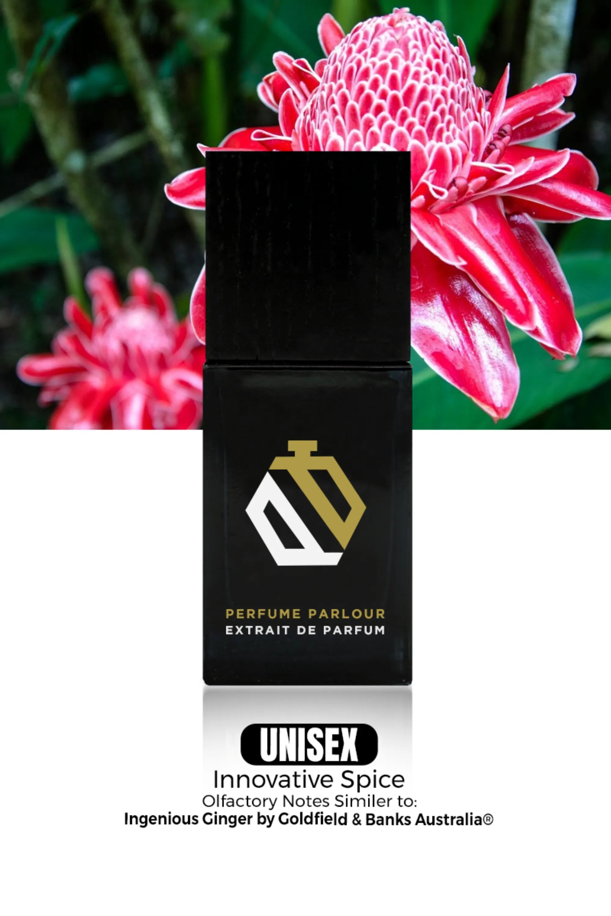 Innovative Spice - 2101 | Ingenious Ginger ® Dupe Clone – Perfume
