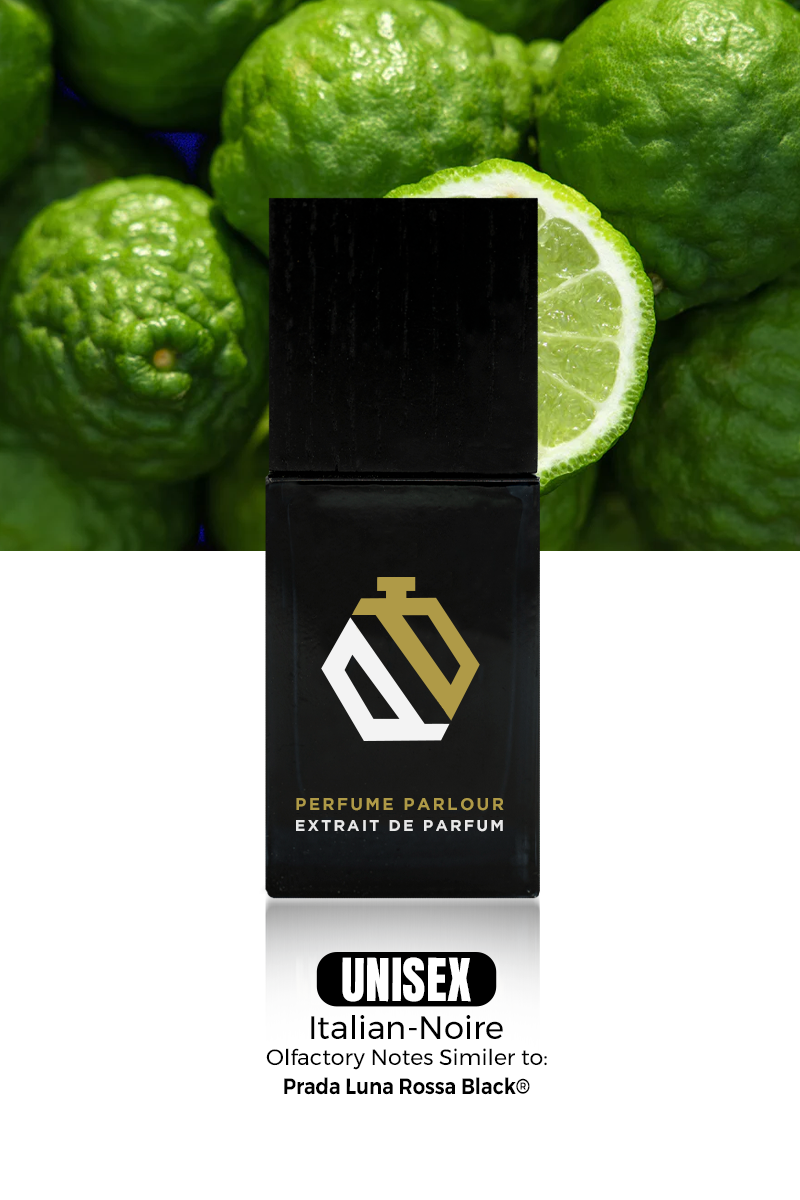 Italian Noire 0057 | Luna Rossa Black® Dupe Clone – Perfume