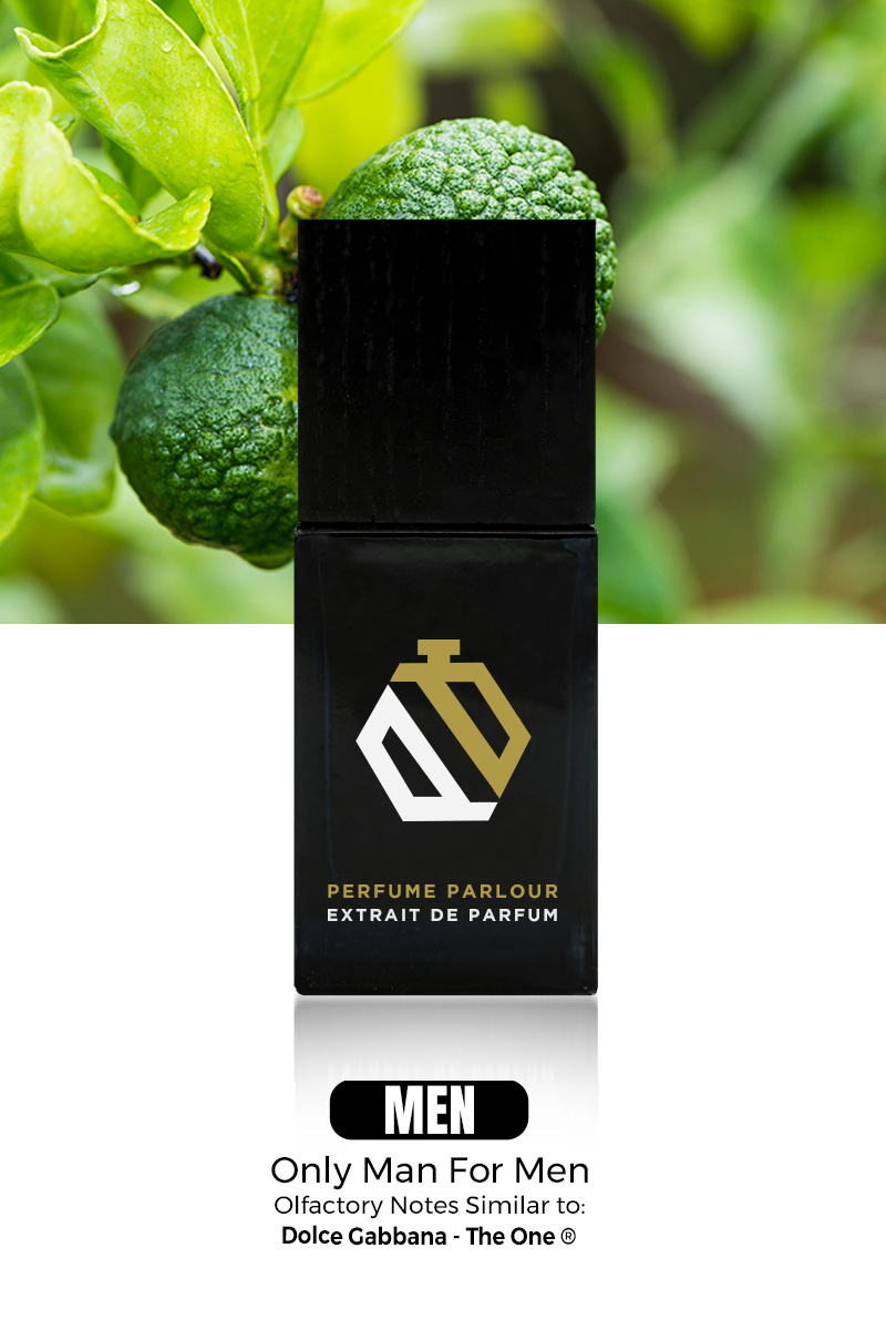 Only Man For Men 0666 The One ® Dupe Clone – Perfume Parlour USA