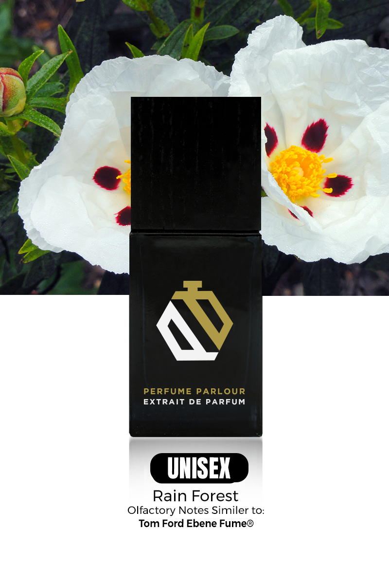 Rain Forest 1292 Ebene Fume® Dupe Clone – Perfume Parlour USA