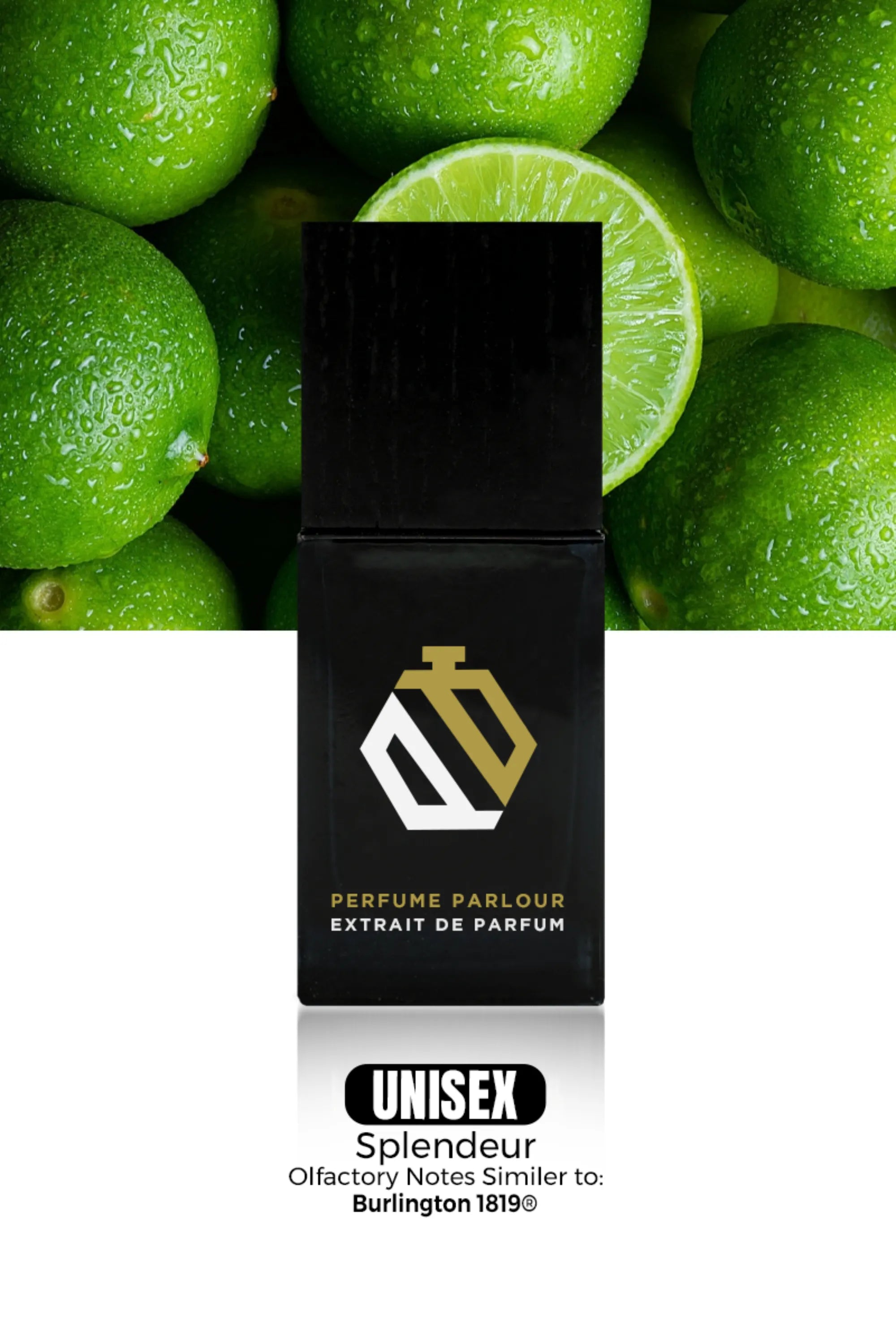 Victorian Symphony - 0853 | Burlington 1819® Dupe Clone – Perfume