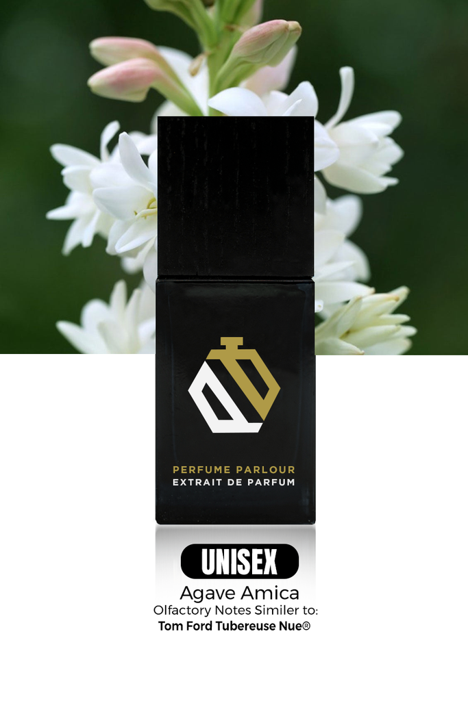 Agave Amica 1966 | Tubereuse Nue Dupe Clone 15ml Diffuser Oil - (Home Fragrance)