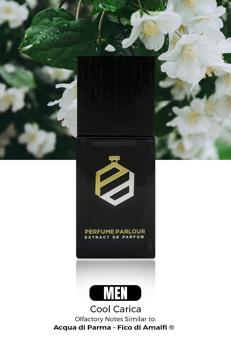 Cool Carica 0256 | Fico di Amalfi ® Dupe Clone – Perfume Parlour USA Cool Carica 0256 | Fico di Amalfi ® Dupe Clone – Perfume Parlour USA