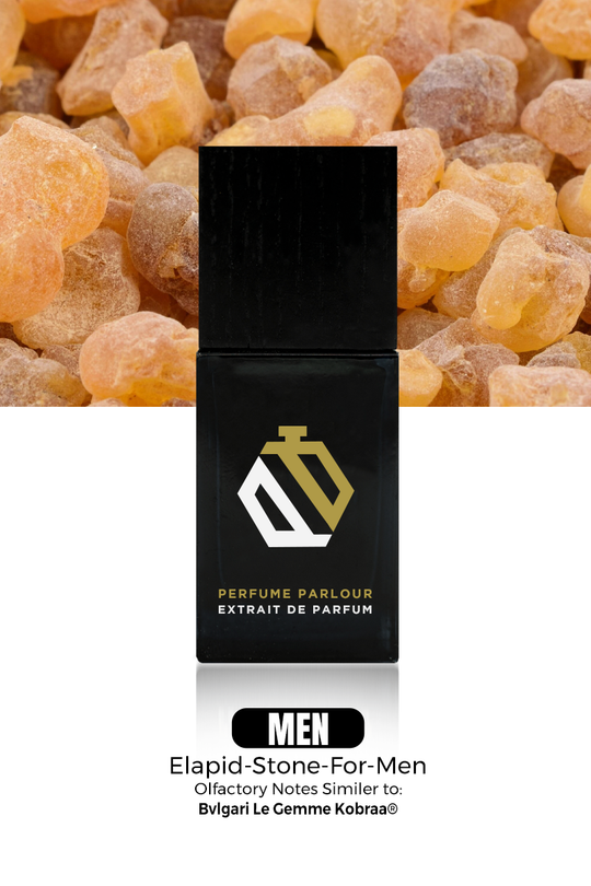 Elapid Stone For Men - 0020